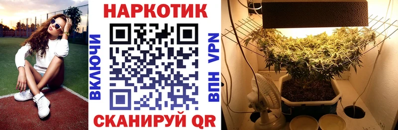 Наркота Шацк СК  блэк спрут сайт  COCAIN  МЕФ  Гашиш  Канабис 