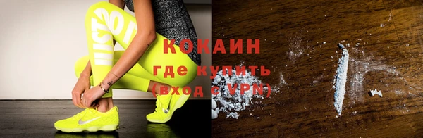 стаф Осинники