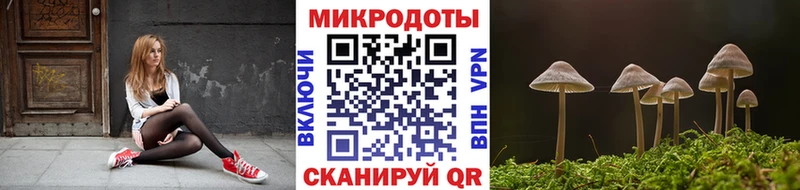 Галлюциногенные грибы MAGIC MUSHROOMS  Шацк 